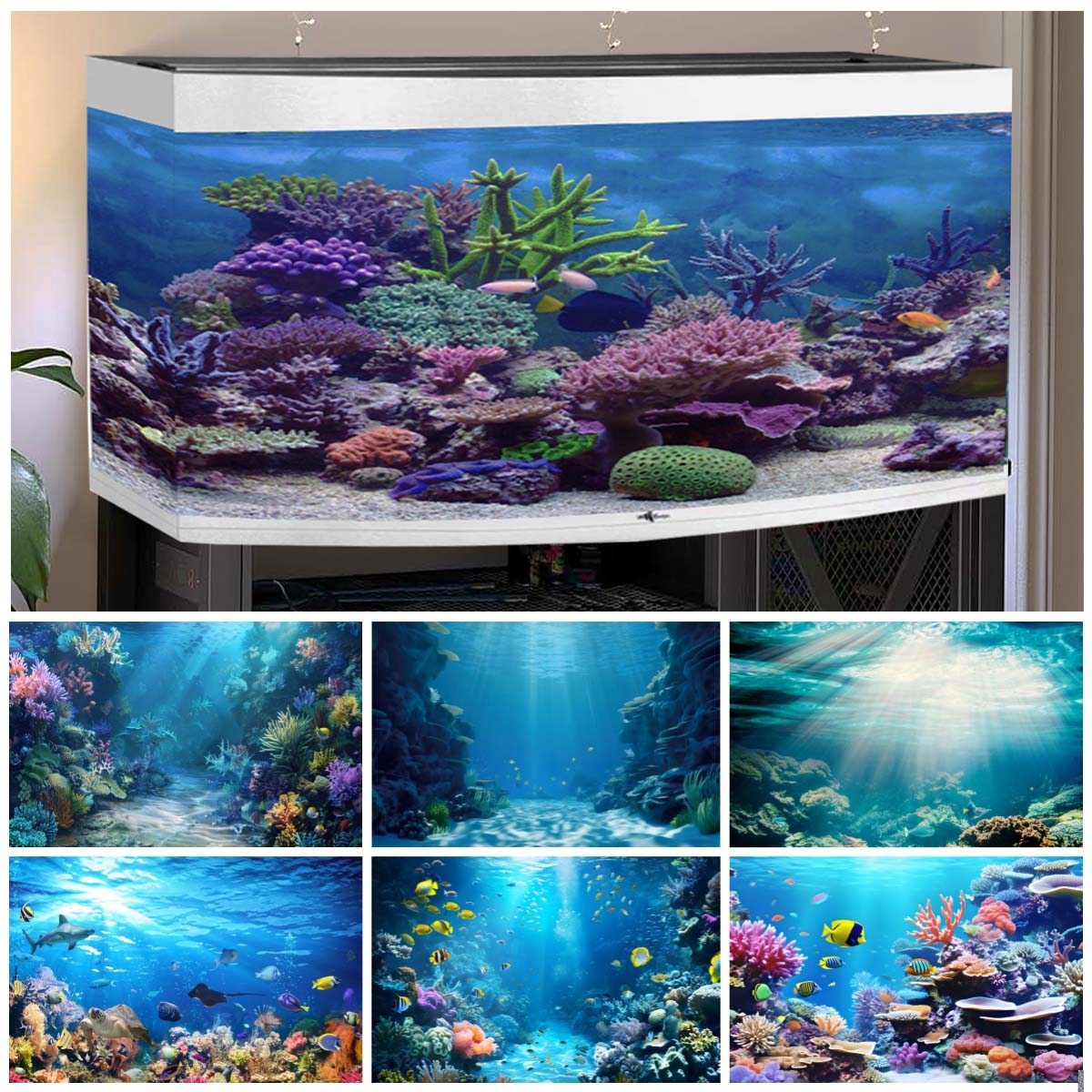 Aquarium Fish Of The World - Underwater World Backgrounds for Photographs Ocean