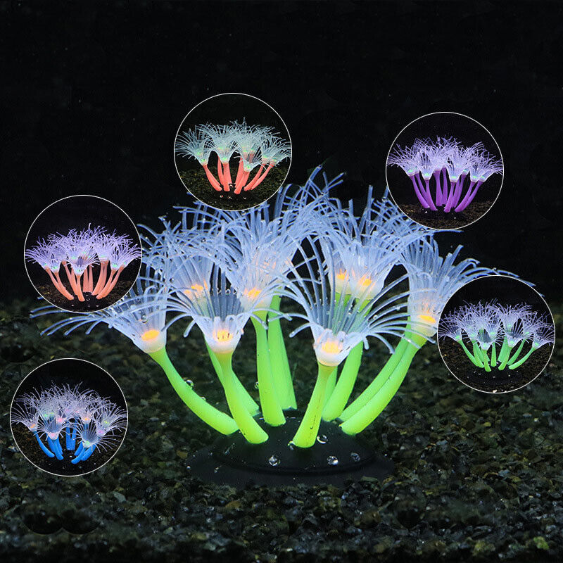 Silicone Glowing Landscape Art - Aquarium Fish Only review and price