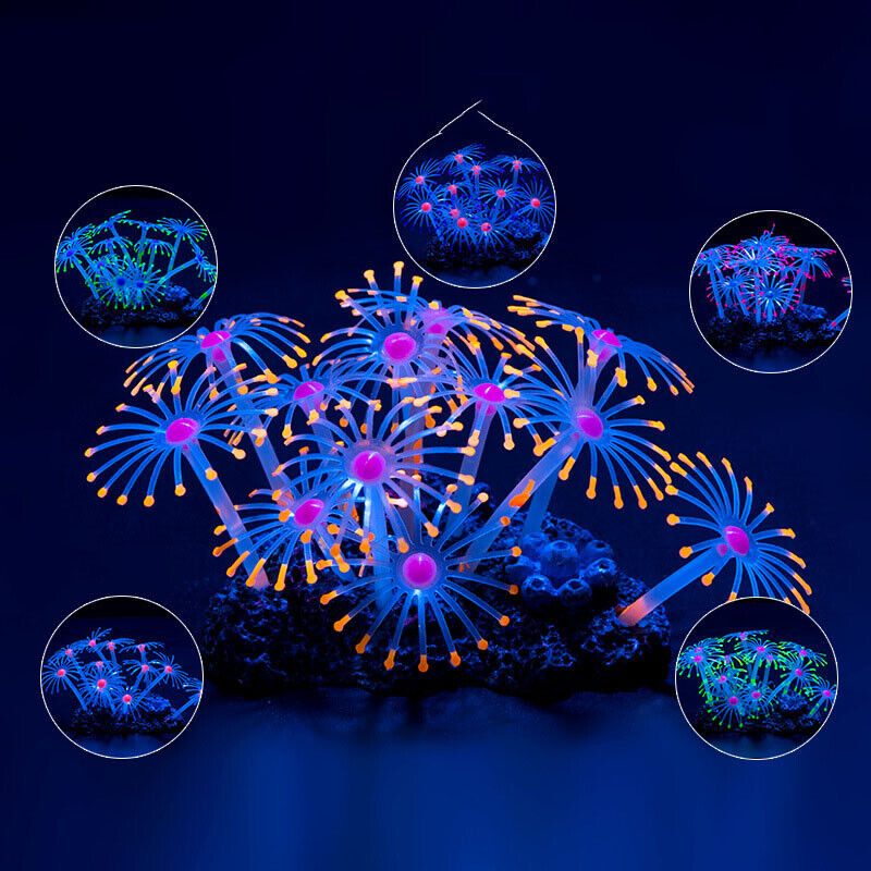 Silicone Glowing Landscape Art - Aquarium Fish Only review and price
