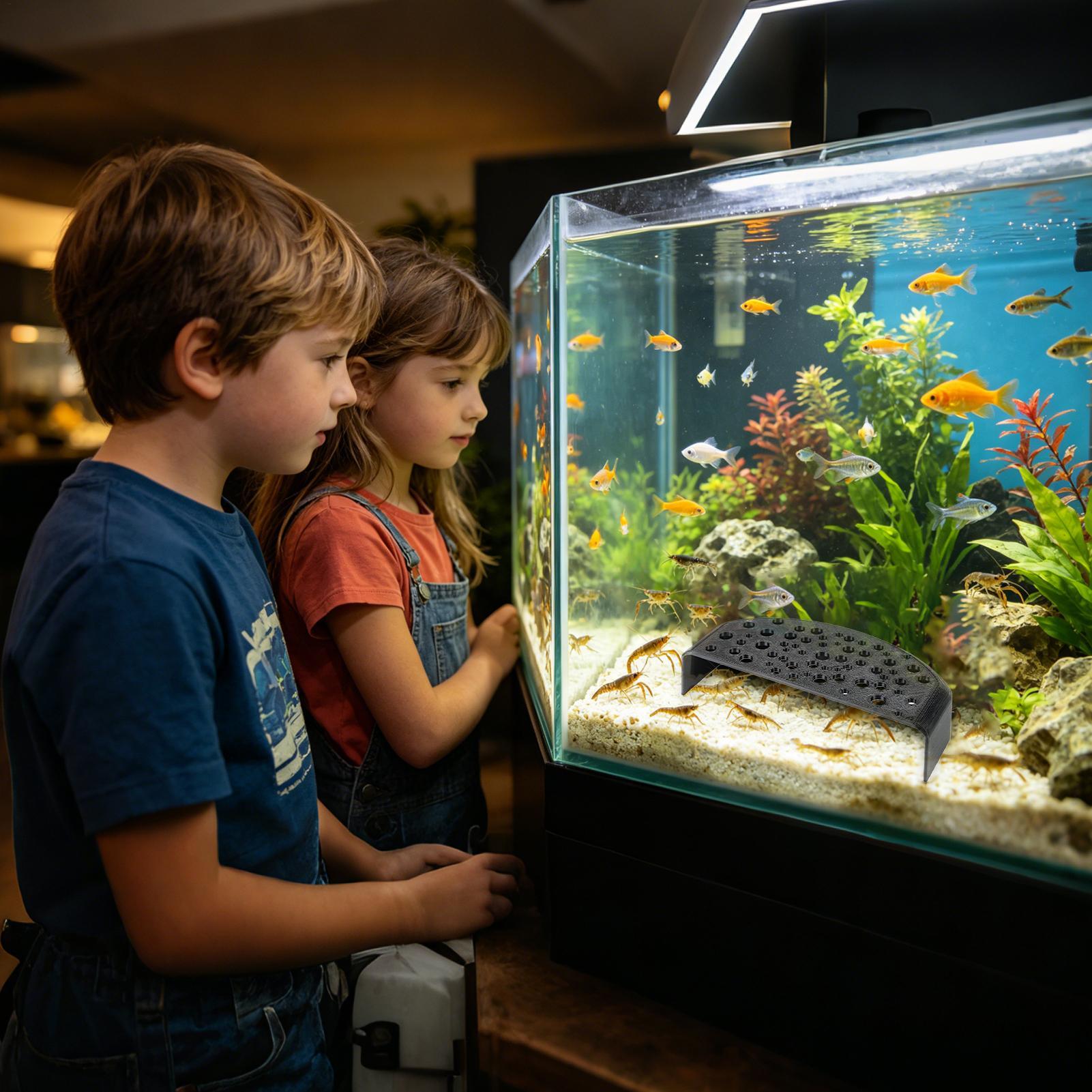 Aquatic Pet Rest Ornament Mult - Aquarium Fish Zone review and price
