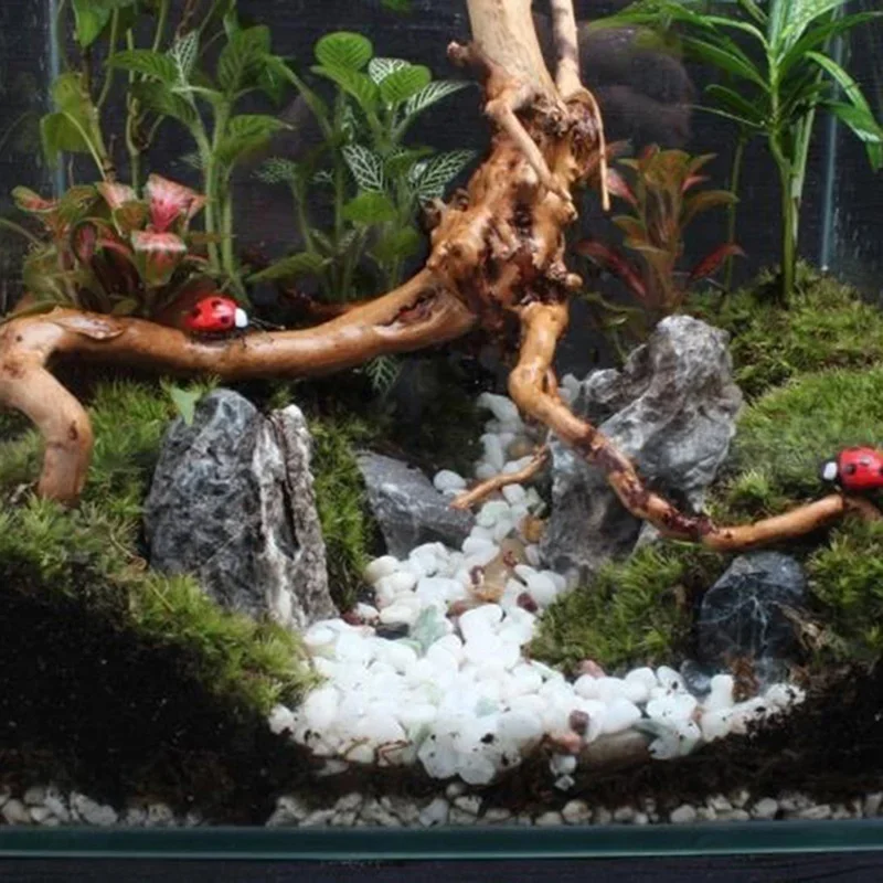 Natural Tree Trunk Driftwood A - Aquarium Fish Only review and price