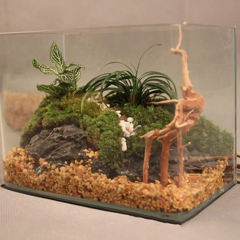 Natural Tree Trunk Driftwood A - Aquarium Fish Only review and price