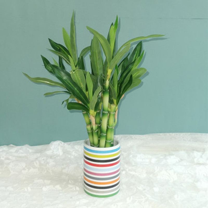 New 40cm rFtificial Lucky Bamb - Aquarium Fish Only review and price