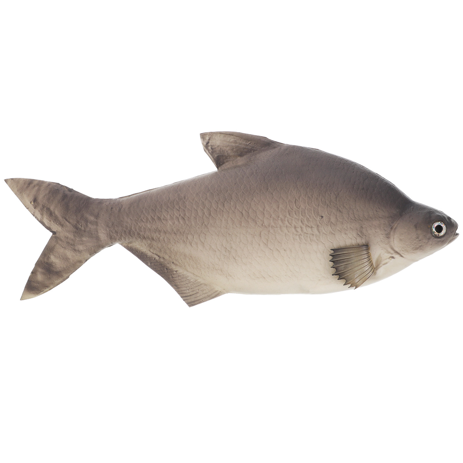 Detailed PU Simulated Fish Art - Aquarium Fish Market review and price