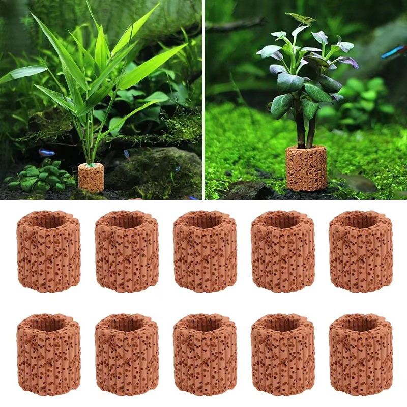 Aquatic Plant Fixed Ring for A - Aquarium Fish Tank Price review and price