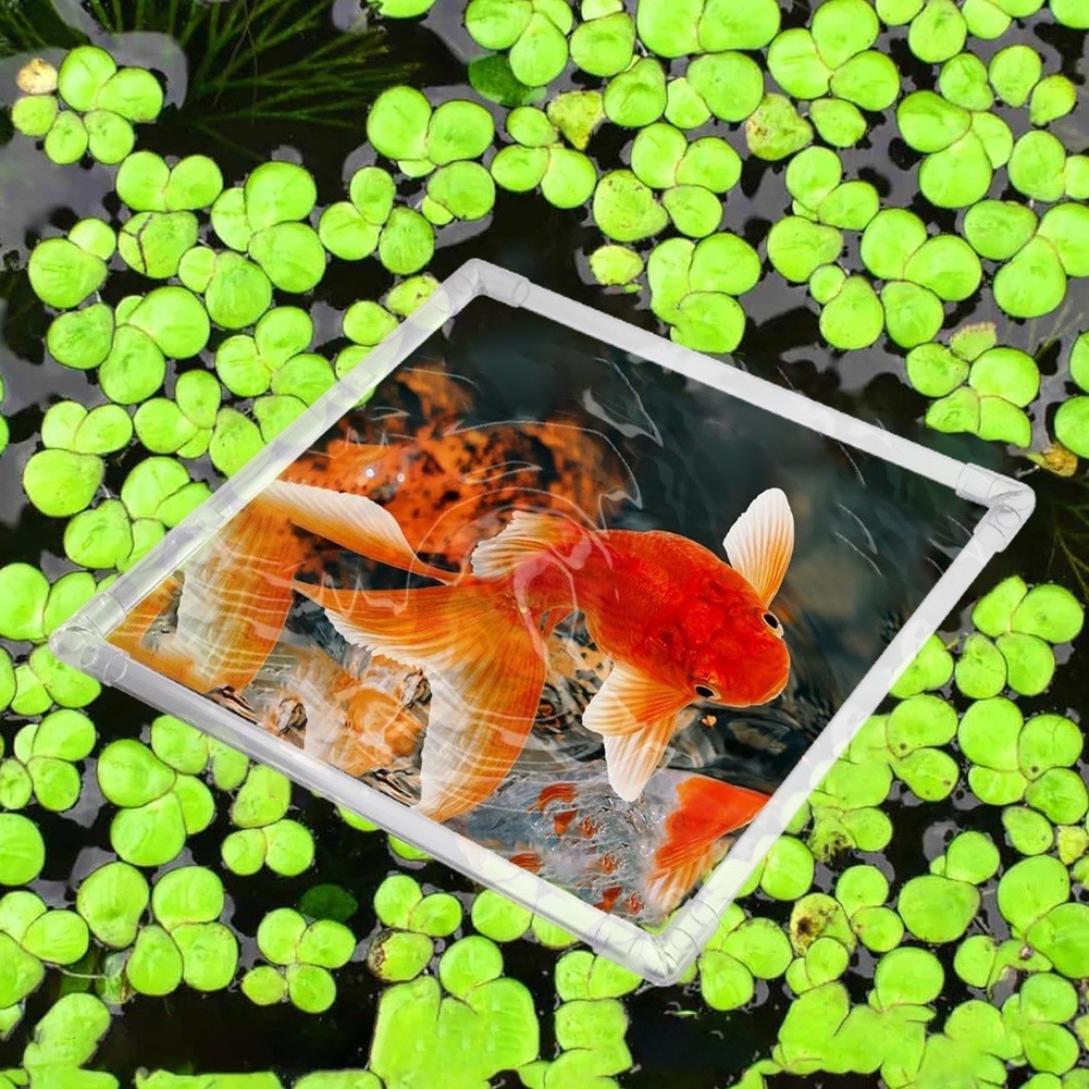 Aquarium Floating Plant Corral - Aquarium Fish Zone review and price