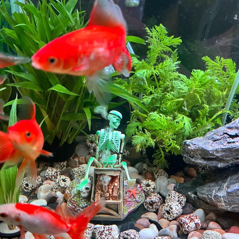 Fish Tank Aerobic Landscape Bu - Aquarium Fish Only review and price