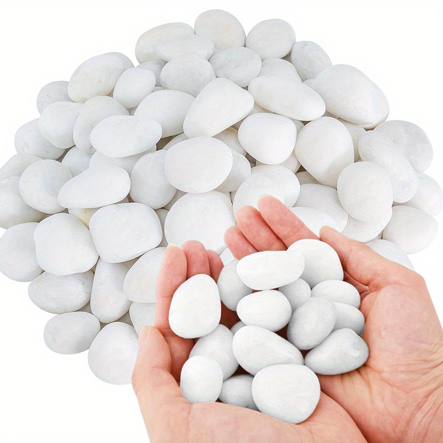 200/400g White High Polished N - Aquarium Fish Only review and price