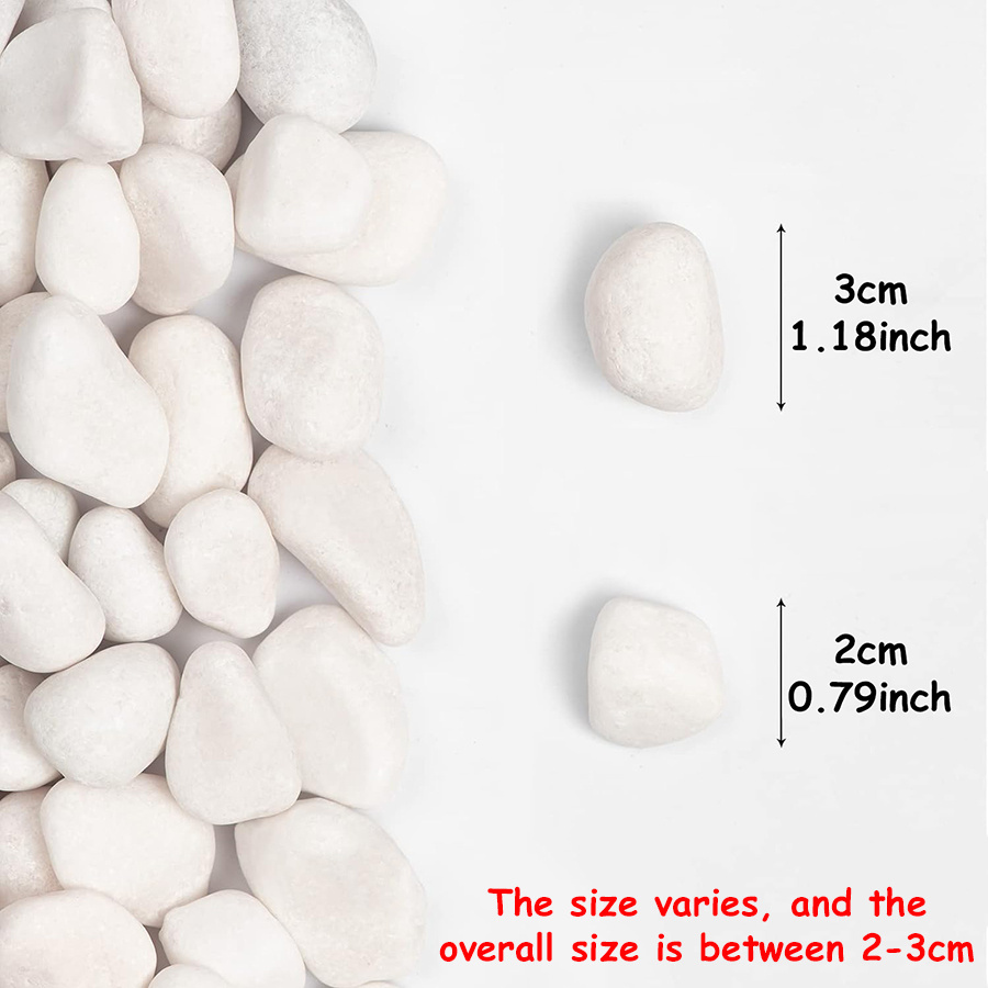 200/400g White High Polished N - Aquarium Fish Only review and price