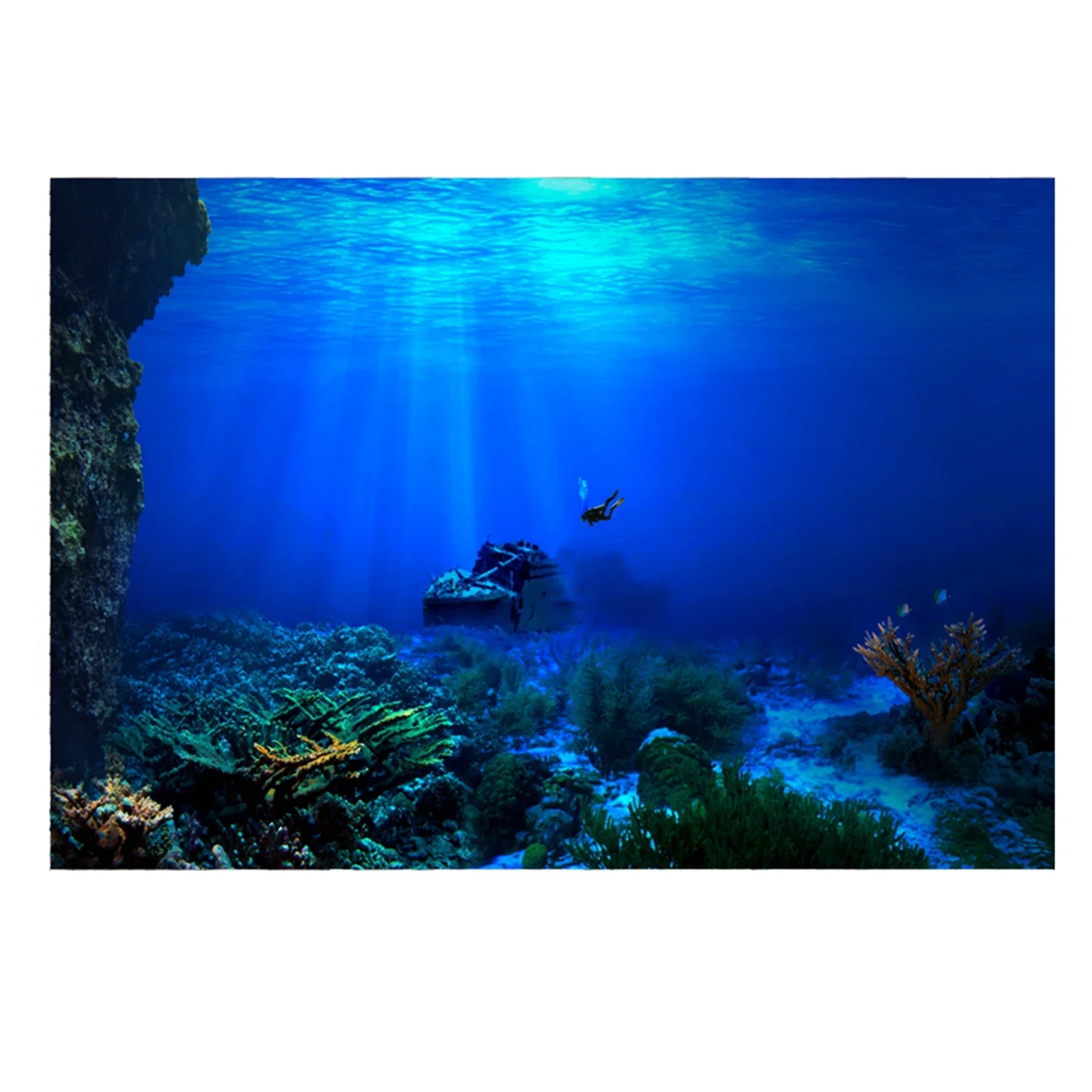 Rainforest Aquarium Background - Aquarium Fish Of The World review and price