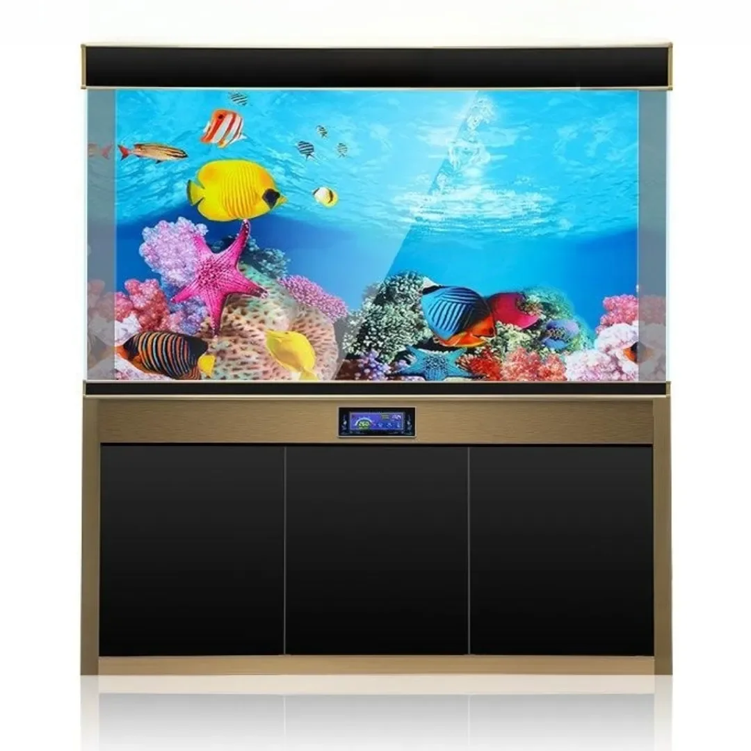 Background Aquarium 3D Sticker - Aquarium Fish Only review and price
