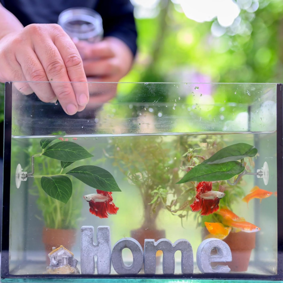 1 PC Betta Fish Hammock Soft A - Aquarium Fish Only review and price