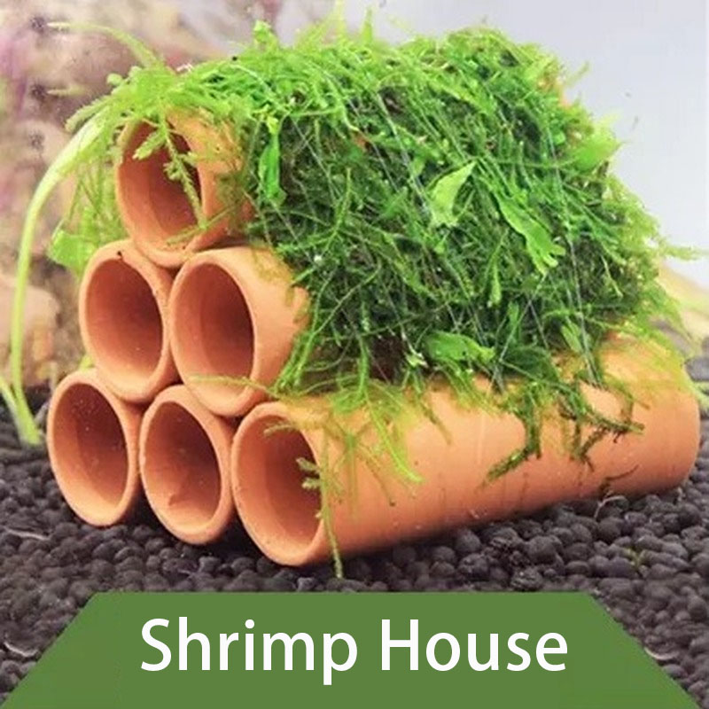 Clay Aquarium Decoration Fish  - Aquarium Fish Only review and price