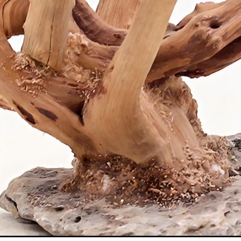 1PC Aquarium Landscaping Wood  - Aquarium Fish Tank Price review and price