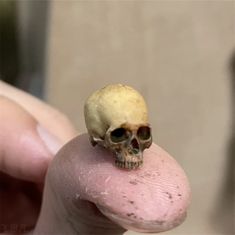 Mini Skull High Quality Miniat - Aquarium Fish Only review and price