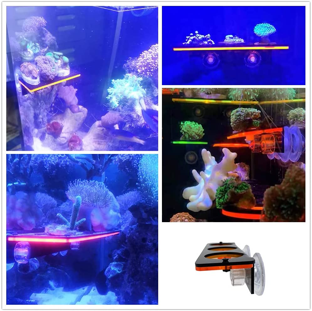 Fluorescent Coral Frag Plug Br - Aquarium Fish Tank Price review and price